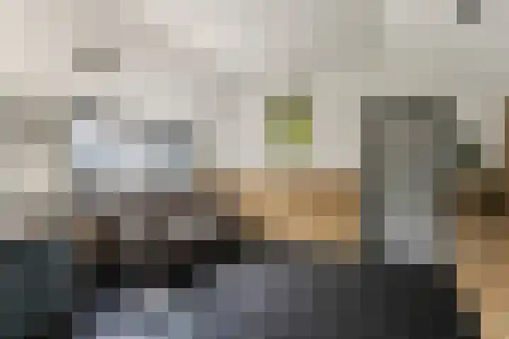 Belterlaan 16 Hippolytushoef thumbnail 22