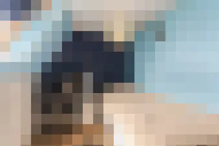 Belterlaan 16 Hippolytushoef thumbnail 32