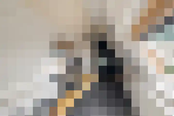 Belterlaan 16 Hippolytushoef thumbnail 33