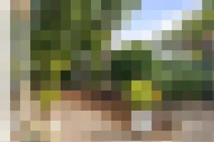 Belterlaan 16 Hippolytushoef thumbnail 36