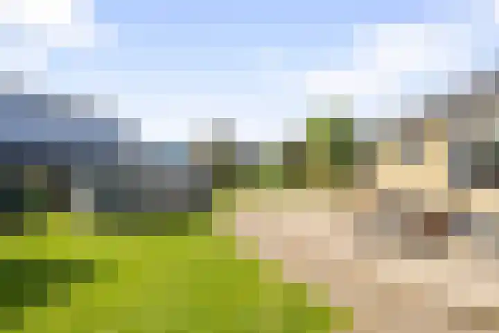Belterlaan 16 Hippolytushoef thumbnail 39