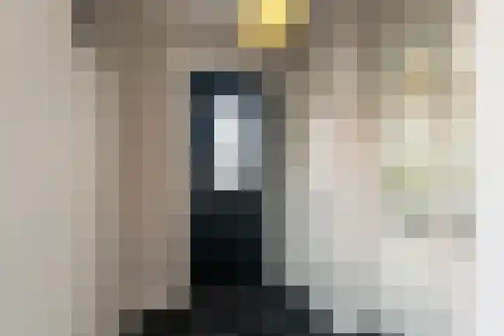 Belterlaan 16 Hippolytushoef thumbnail 4