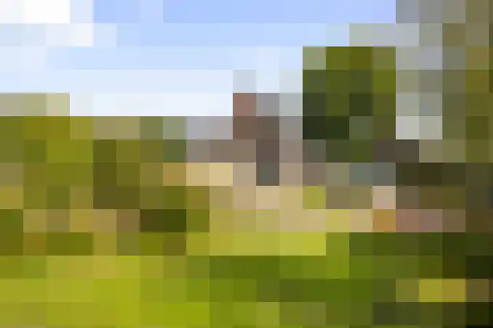 Belterlaan 16 Hippolytushoef thumbnail 42