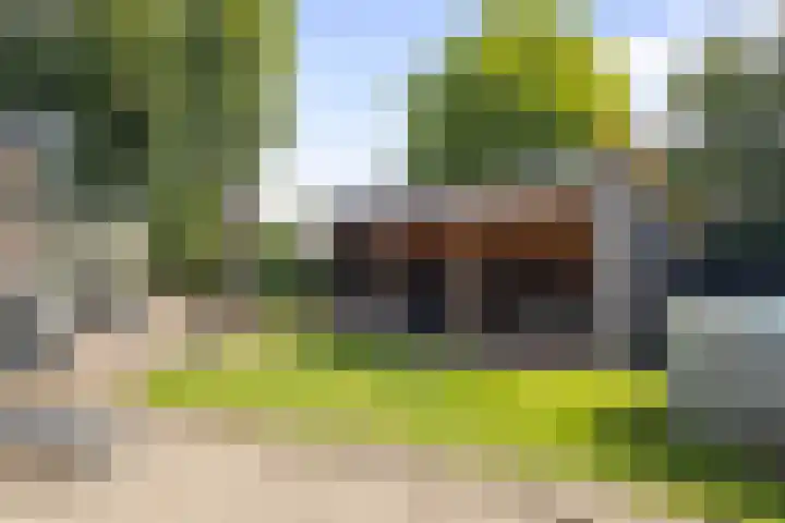 Belterlaan 16 Hippolytushoef thumbnail 43
