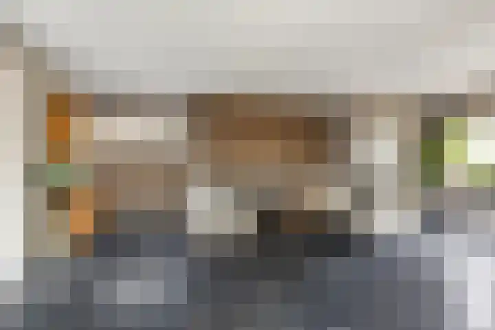 Belterlaan 16 Hippolytushoef thumbnail 8