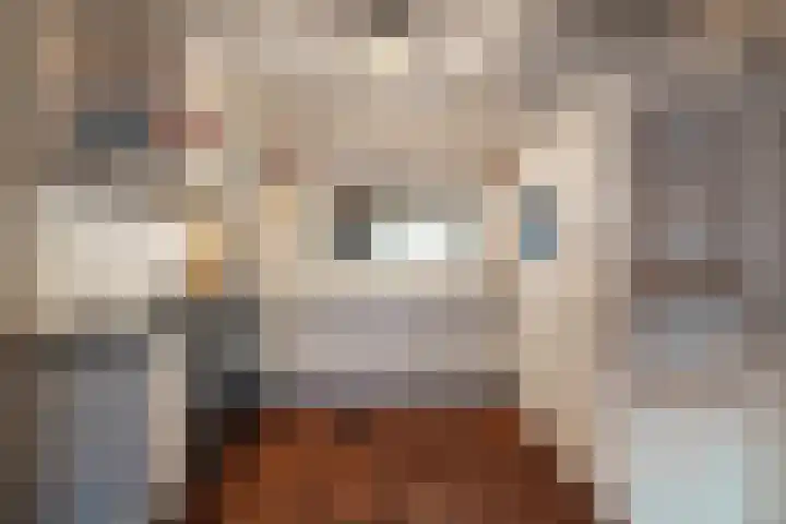 Belterlaan 6 Hippolytushoef thumbnail 10