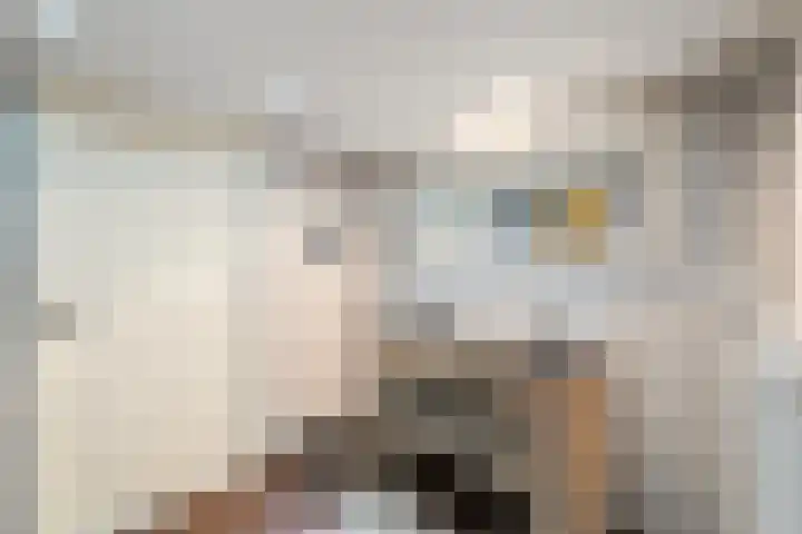 Belterlaan 6 Hippolytushoef thumbnail 13