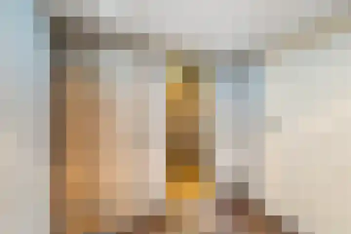 Belterlaan 6 Hippolytushoef thumbnail 14
