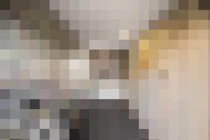 Belterlaan 6 Hippolytushoef thumbnail 15