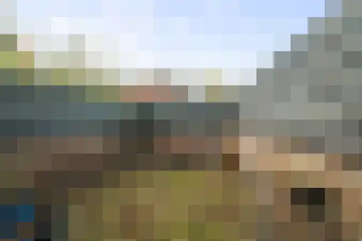 Belterlaan 6 Hippolytushoef thumbnail 17