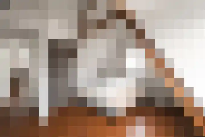 Belterlaan 6 Hippolytushoef thumbnail 19