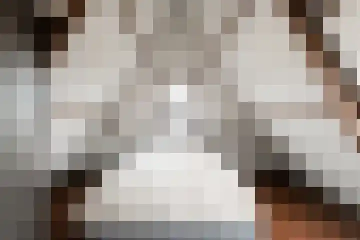 Belterlaan 6 Hippolytushoef thumbnail 20