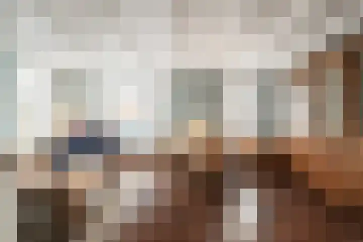 Belterlaan 6 Hippolytushoef thumbnail 5