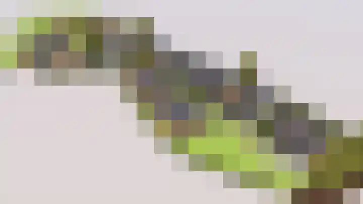 Belterweg 103 R 9 en Belt-Schutsloot