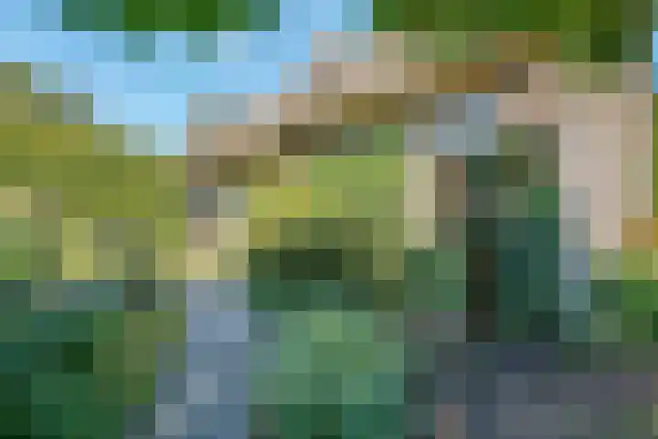 Belterweg 8 Belt-Schutsloot thumbnail 11