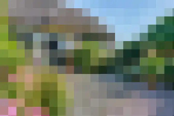 Belterweg 8 Belt-Schutsloot thumbnail 12