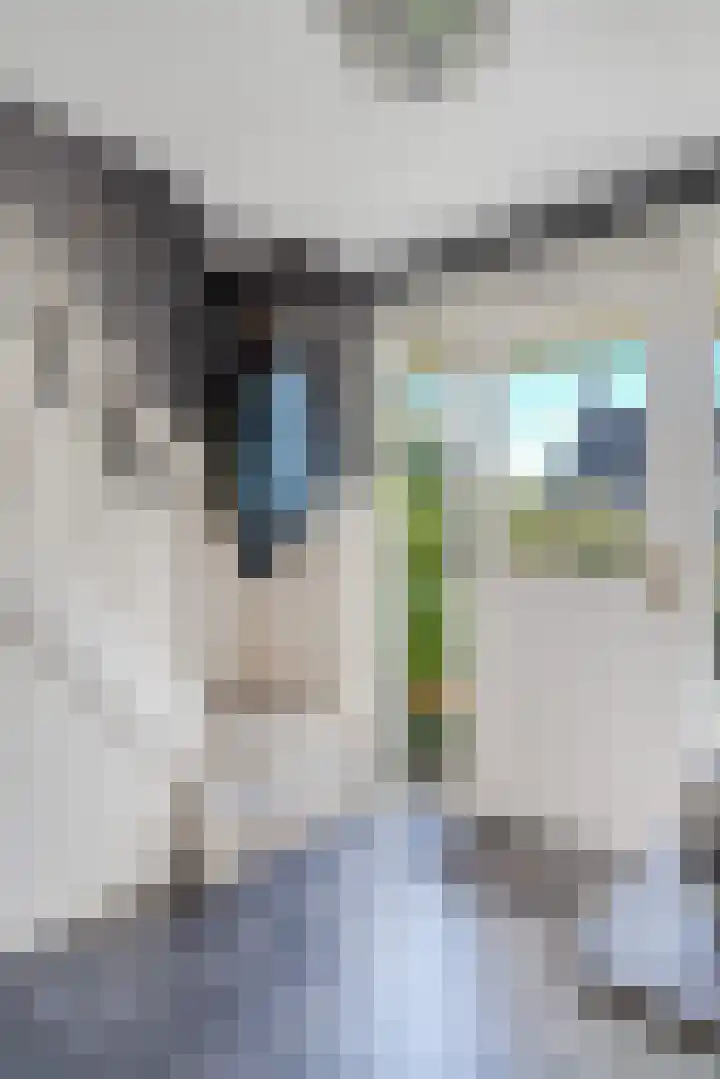 Belterweg 8 Belt-Schutsloot thumbnail 13