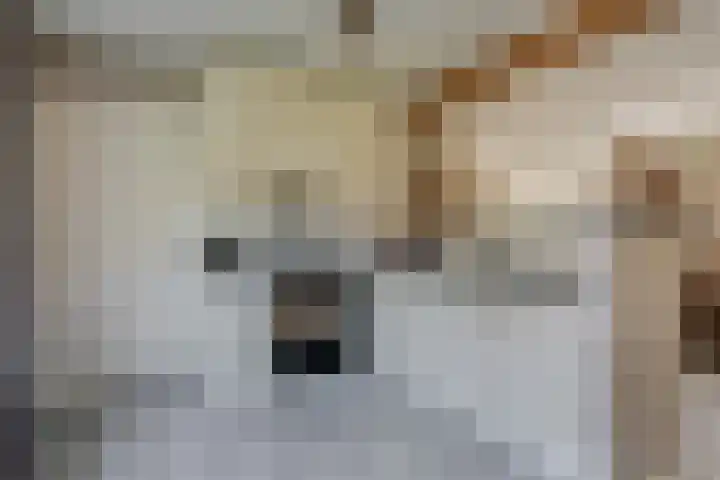 Belterweg 8 Belt-Schutsloot thumbnail 21