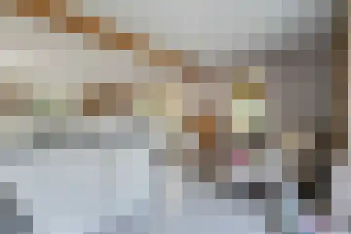 Belterweg 8 Belt-Schutsloot thumbnail 22