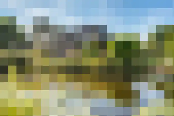 Belterweg 8 Belt-Schutsloot thumbnail 38