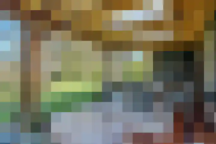 Belterweg 8 Belt-Schutsloot thumbnail 39