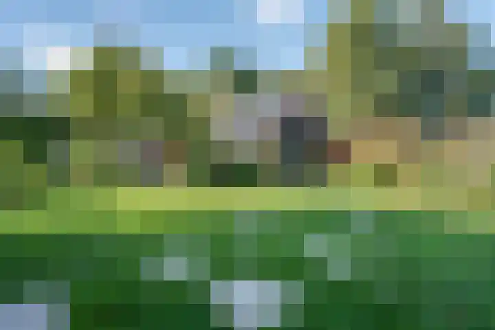 Belterweg 8 Belt-Schutsloot thumbnail 41