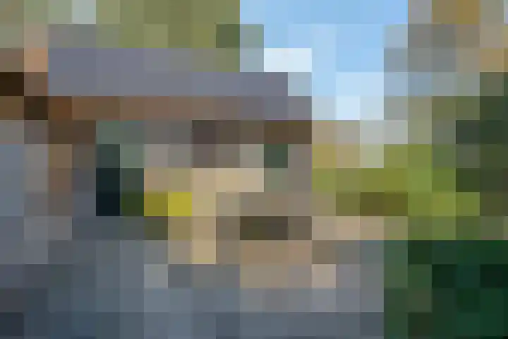 Belterweg 8 Belt-Schutsloot thumbnail 45