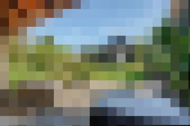 Belterweg 8 Belt-Schutsloot thumbnail 48