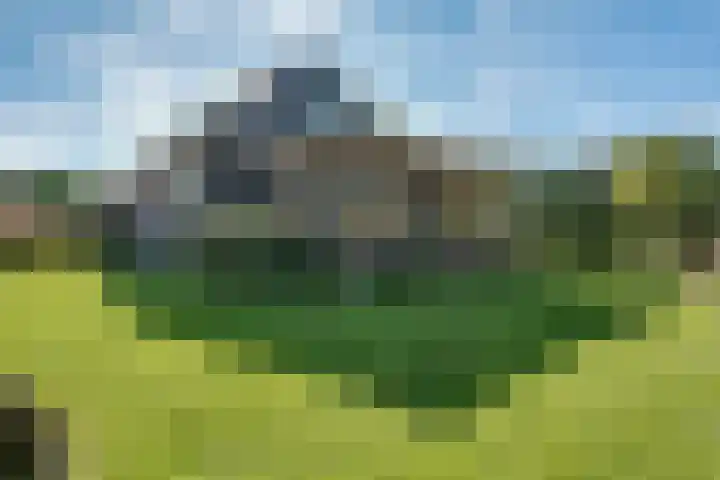 Belterweg 8 Belt-Schutsloot thumbnail 49