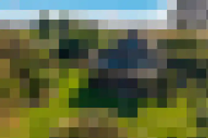 Belterweg 8 Belt-Schutsloot thumbnail 5