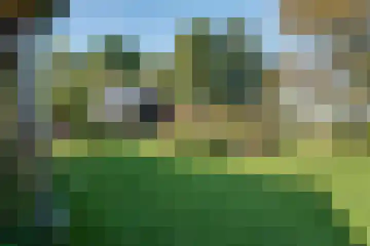 Belterweg 8 Belt-Schutsloot thumbnail 51
