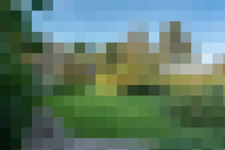 Belterweg 8 Belt-Schutsloot thumbnail 54