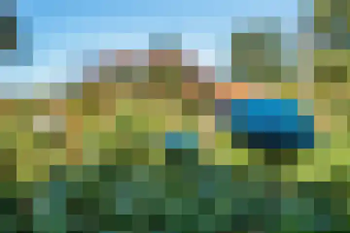 Belterweg 8 Belt-Schutsloot thumbnail 55