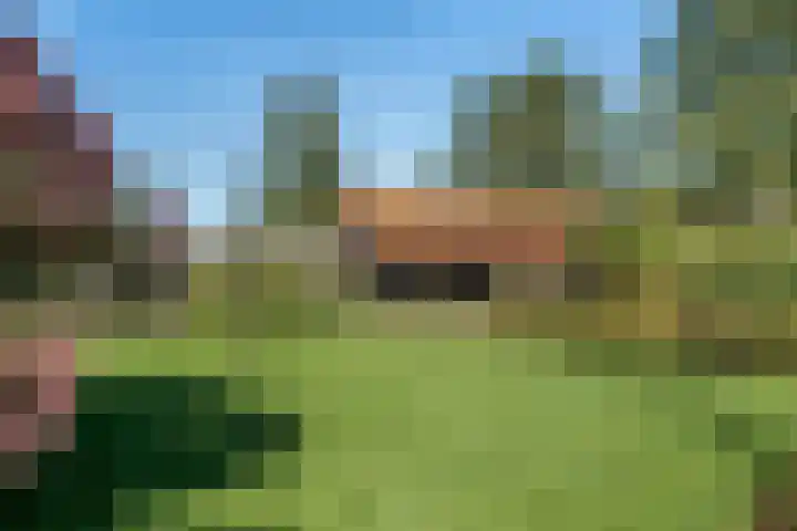Belterweg 8 Belt-Schutsloot thumbnail 56