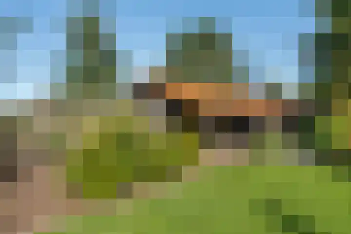 Belterweg 8 Belt-Schutsloot thumbnail 57