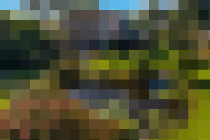 Belterweg 8 Belt-Schutsloot thumbnail 6