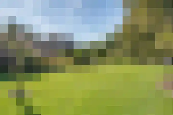 Belterweg 8 Belt-Schutsloot thumbnail 61