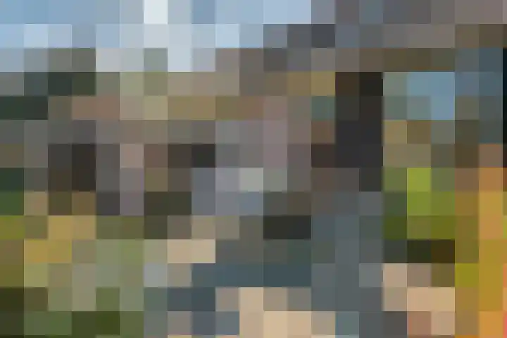 Belterweg 8 Belt-Schutsloot thumbnail 64