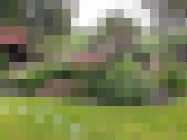 Belterweg 8 Belt-Schutsloot thumbnail 68