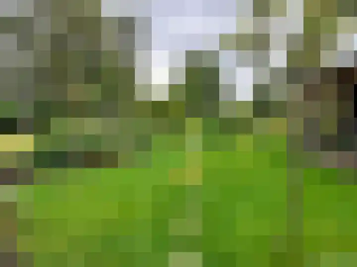 Belterweg 8 Belt-Schutsloot thumbnail 69
