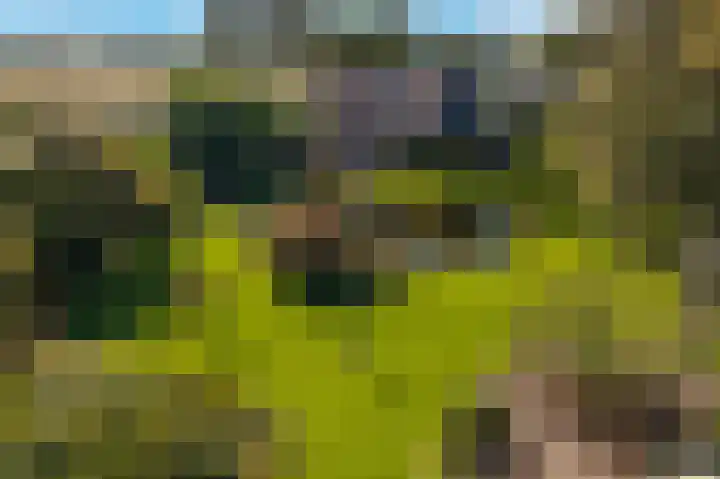 Belterweg 8 Belt-Schutsloot thumbnail 7