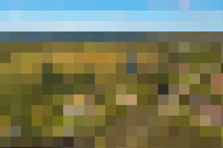Belterweg 8 Belt-Schutsloot thumbnail 74