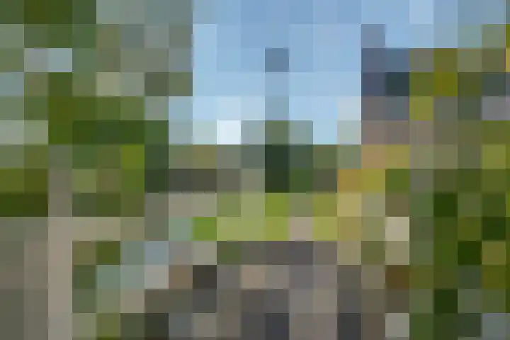 Belterweg 8 Belt-Schutsloot thumbnail 8