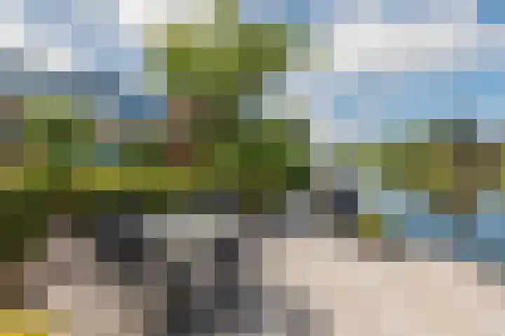 Belterwiede 10 Lelystad thumbnail 25
