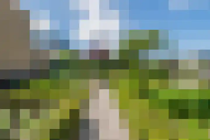 Belterwiede 10 Lelystad thumbnail 63