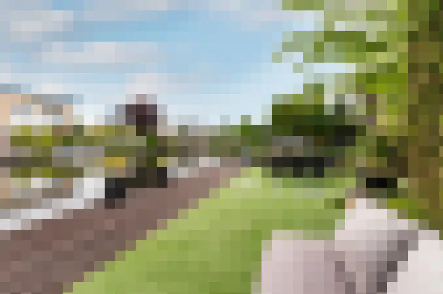 Belterwiede 12 Lelystad thumbnail 28