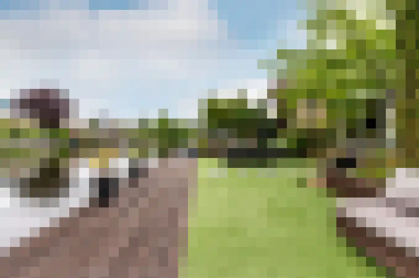 Belterwiede 12 Lelystad thumbnail 29