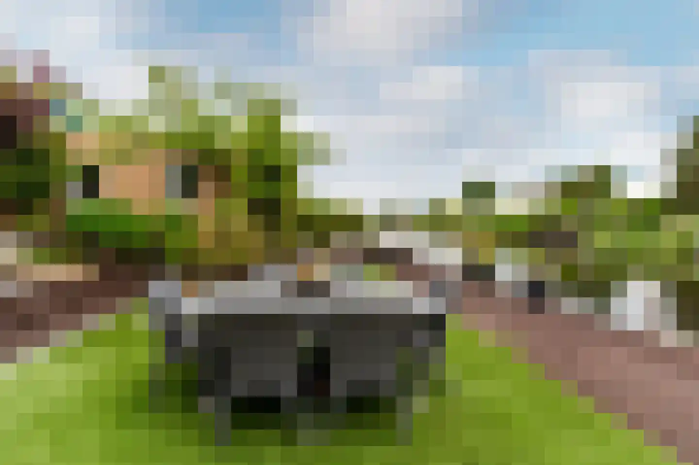 Belterwiede 12 Lelystad thumbnail 31