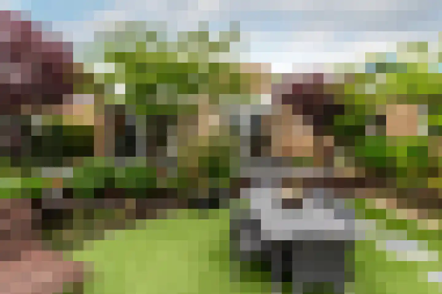 Belterwiede 12 Lelystad thumbnail 32