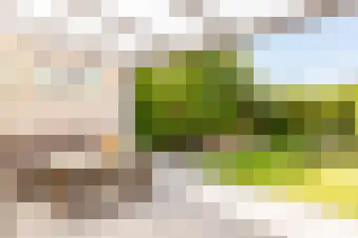 Belterwiede 16 Lelystad thumbnail 33